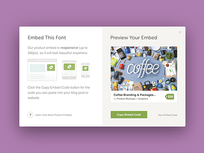 Product Embed embed modal product design product illustration