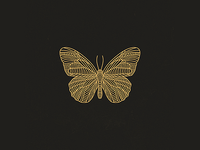 Butterfly animal bug butterfly design draw dribbble gold graphic icon line logo