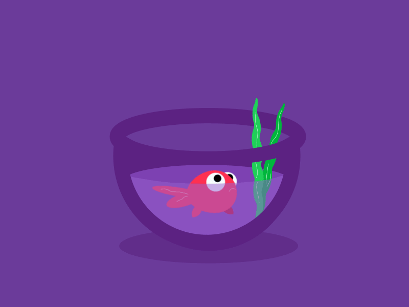 jumping out of water by Kate Danilina on Dribbble