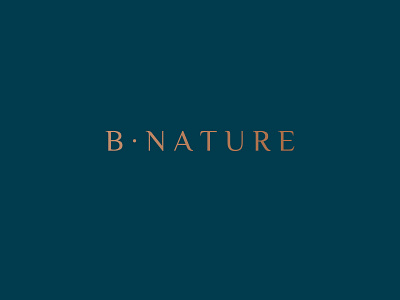 Logo BNature branding design graphic design illustration logo photoshop