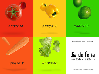 Color Palette • Dia de Feira branding brasil brazil color color palette curation design fotografia graphic design identidade visual photography