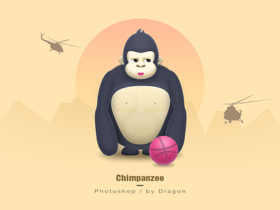 Chimpanzee