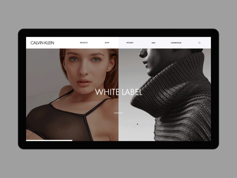 Calvin Klein desktop fullscreen minimal motion principle promo ui ux web website