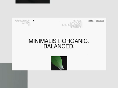 Petiole Vase animation desktop minimal motion principle typography ui ux web website