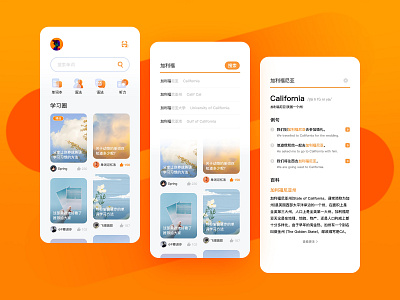 Translation APP