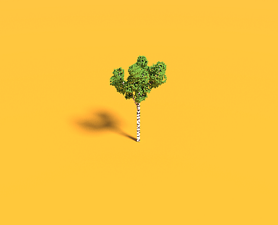 Voxel Birch Tree 3d 3d art birch bright colourful cute design game art game design simple tree voxel voxelart