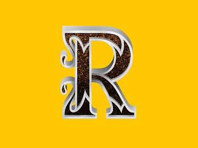 052/365_17 R graphism illustration ipad lettering lettrage procreate type typo typography