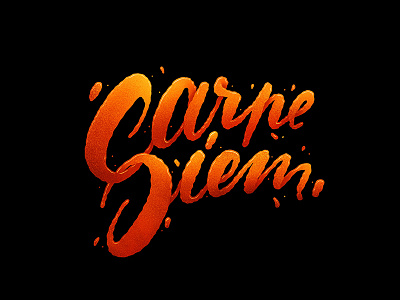 103/365 Carpe Diem