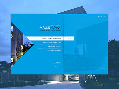 Assurnova - Intropage language language selection layout web webdesign website