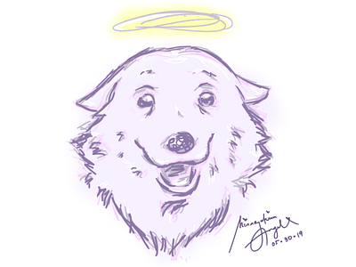 Samsam. Angel Japanese Spitz design graphic design illustration vector