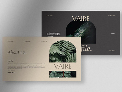 Vaire - Elegant Company Profile PPT #2 app branding design graphic design illustration logo typography ui ux vector