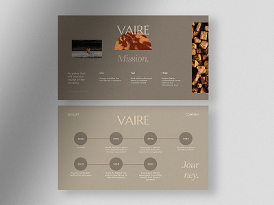 Vaire - Elegant Company Profile PPT #3 app branding design graphic design illustration logo typography ui ux vector