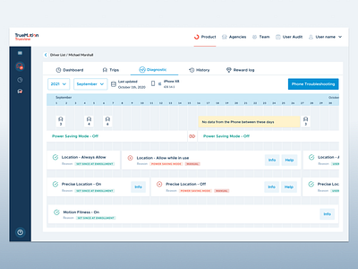 Trueview - UBI dashboard insuretech qualitative research ui design ux design