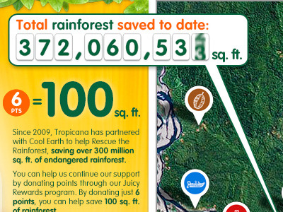 Save the Rainforest after effects design flash forest icons ui website