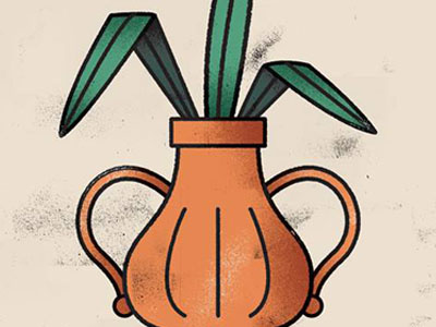 Study illustration plant texture vase
