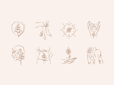 Botanical Moringa Icon Set