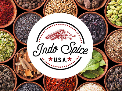 Indo Spice USA brand identity cinnamon emblem food branding hand drawn logo lettering organic spices type usa vanilla whole foods