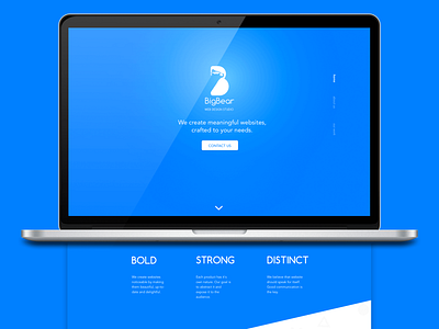 Big Bear - Web Design Studio