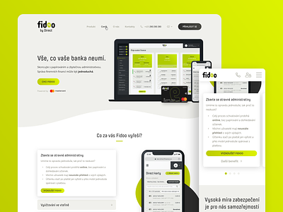 Fidoo - business fintech website corporate design desktop finance fintech mobile ui user interface ux website