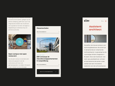 DBV Architecten architect architectural architecture belgium branding design layout minimal public space ui ui ux design uiux ux web web design webdesign website