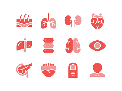 Human Organs Icon Set anatomy body brain heart human icon icon set icons kidney lung organ