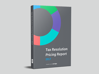 Pricing Report Cover book cover ebook