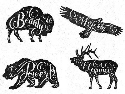 Animal Series animals hand lettering illustration