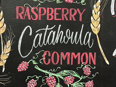 Raspberry Catahoula Common chalk collaboration hand illustration lettering type