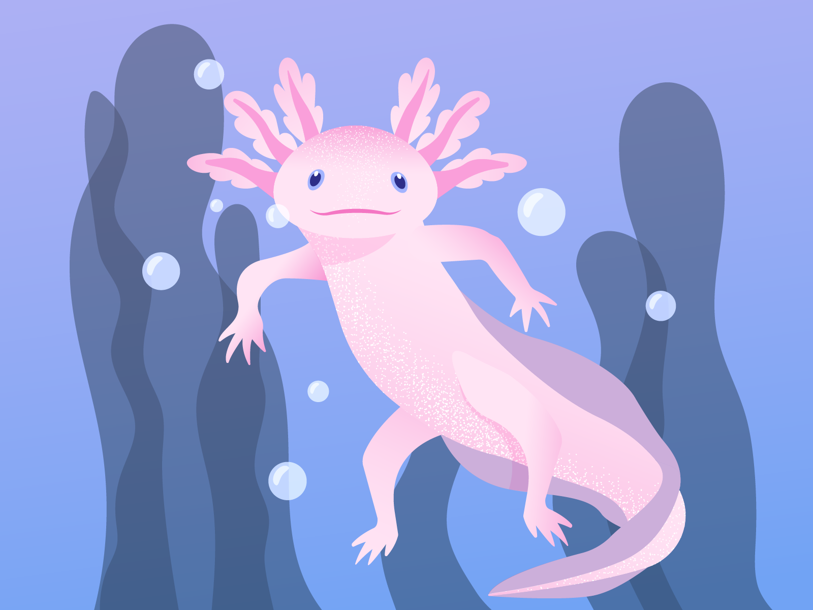 Bubble the Axolotl by Daria Biliakova on Dribbble