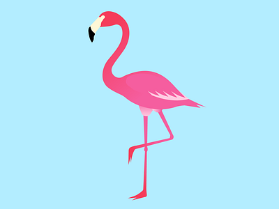 Flamingo vector print adobe illustrator animal art bird blue design exotic flamingo flat graphic design illustration logo pink summer vibe tropic vector