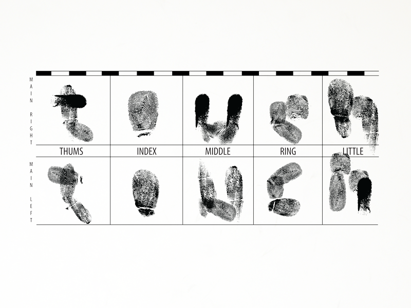 Words. touch fingerprint vector words word typography touch illustration graphic design design
