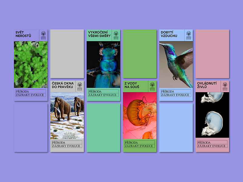 National Museum Labels exposition exhibition miracles of evolution design proposal posters poster bugs art layout sign label