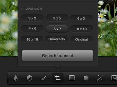 Photo Options button editor icon photo toolbar tooltip