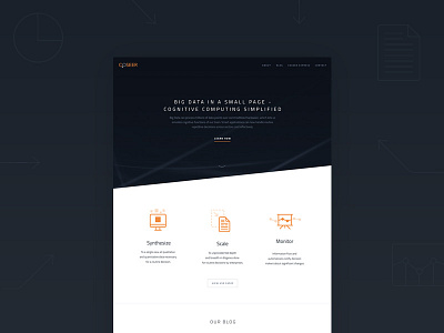 Coseer Landing Page