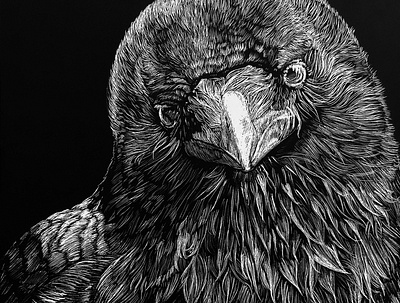 Raven bird illustration black and white crow raven blackbird illustration monochrome nature lover traditional art