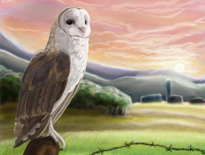Barn Owl barn owl bird art bird illustration digital painting nature lover photoshop