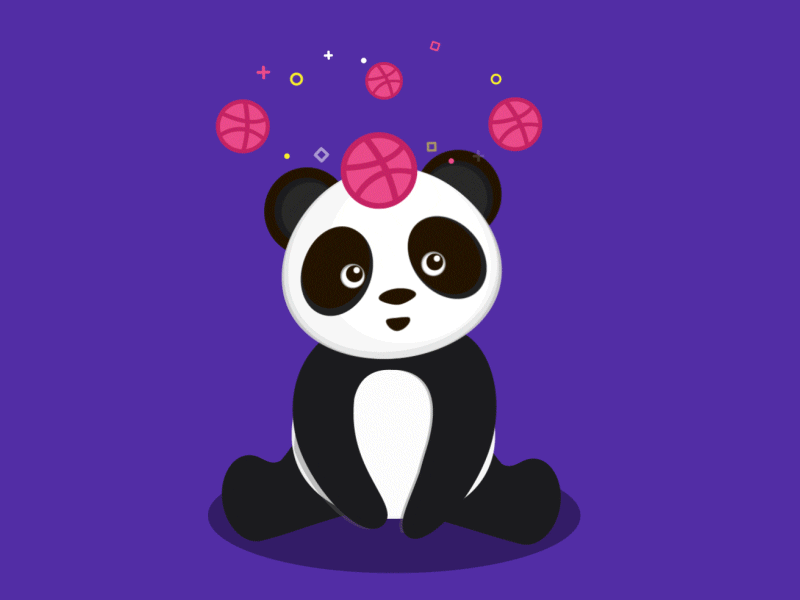 Dazzled Panda animation character dazzle debut illustration motion panda shot