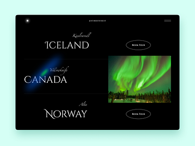 Aurora Borealis Tours Website Page aurora borealis black book booking dark hover hover state interface polar lights tour travel traveling trips typography ui ux web web design web page website