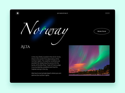 Aurora Borealis Tours Website Page concept