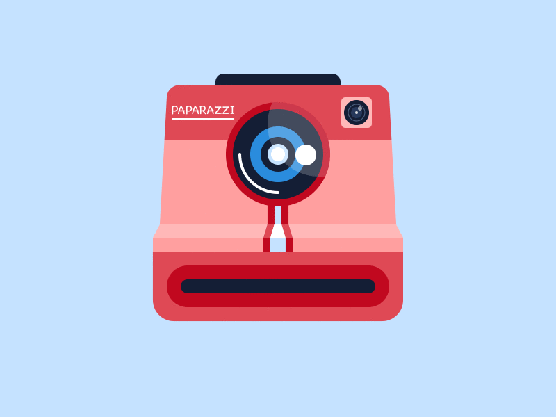 Polaroid Camera gif