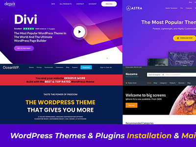 WordPress Popular Themes Showcase branding design responsive web design wordpress