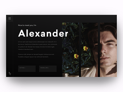 Alexander #1 dark app portfolio ui web design