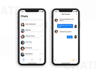 the chat interface