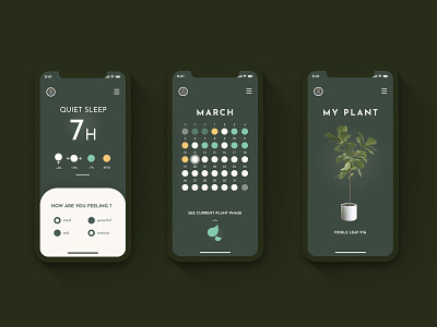 Slumber & plants abstraction app app design design design art designer designs feeling graphics minimal nature plant reflexion science sleep test ui ui design ux vector