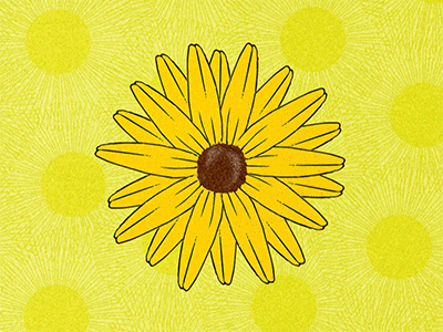 I love me, I love me not... animation daisy drawing flowers gif illustration loop pattern yellow