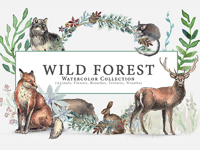 Wild Forest Watercolor Collection