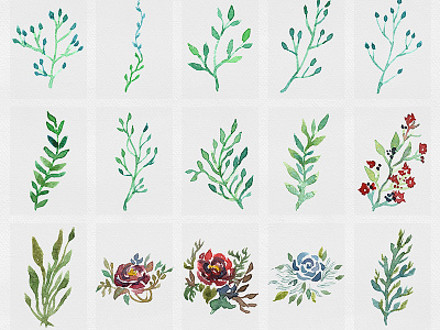 Floral Elements decorative element flora floral flower grass isolated paper plant watercolor