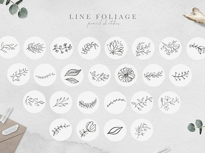 Floral Tenderness art beautiful branding cute decorative design elegant flora flowers foliage illustration ink isolated leaves line line flowers logo modern tenderness watercolor