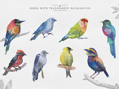 Download Watercolor Birds By Nastia Smiyan On Dribbble