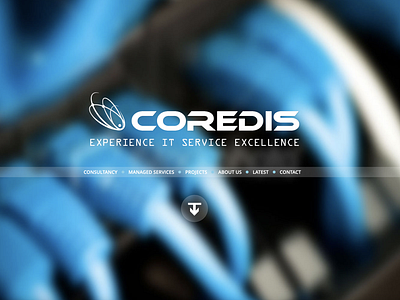 Coredis website design